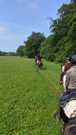 Die Gruppe reitet auf einem Grasweg am Waldrand entlang, links eine blühende Bergwiese