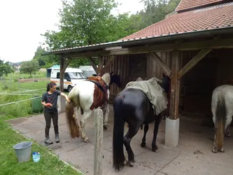 Eine Reiterin putzt einen Schecken unter dem Vordach des Hofes, daneben stehen ein Rappe mit Regendecke und ein Schimmel