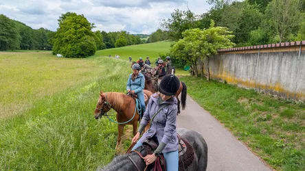 Die Gruppe reitet im Gänsemarsch auf einem schmalen Asphaltweg zwischen Wiese und Mauer