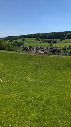 Blick über eine blühende Wiese auf einen Ort am Waldrand