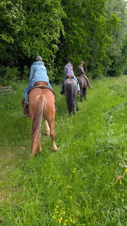 Vier Reiter im Gänsemarsch auf einem blühenden Grasweg am Waldrand, von hinten fotografiert