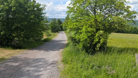 Schotterweg zwischen Hecken und Wiesen, dahinter öffnet sich der Blick in die Weite
