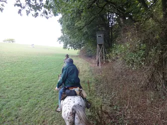 Zwei Reiter auf einem Grasweg am Waldrand, rechts ein Hochsitz