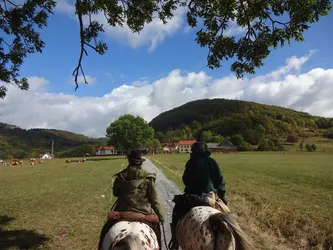 Blick über die Ohren des Pferdes: zwei Reiter auf dem Feldweg, dahinter ein Ort vor einer bewaldeten Kuppe, links Rinder auf der Weide