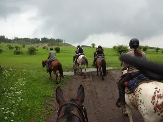 Die Gruppe reitet über die Weide auf eine Kuppe zu, im Weg steht eine große Pfütze