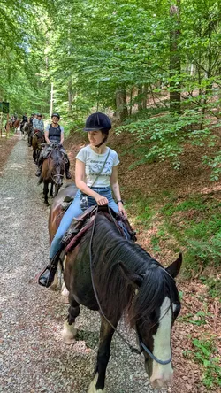 Reiterin auf einem dunklen Schecken auf dem Waldweg, dahinter folgt die Gruppe im Gänsemarsch