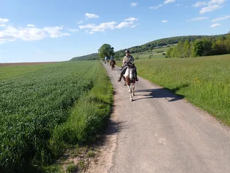 Die Gruppe reitet auf einem Feldweg zwischen Getreide- und Wiesenflächen
