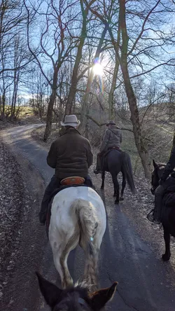 Blick über die vorausreitende Gruppe auf einen schmalen Asphaltweg im Gegenlicht der tiefen Wintersonne