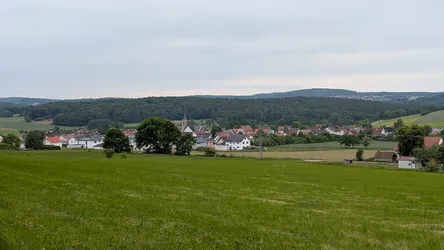 Blick über eine Mähwiese auf den Ort Thalau mit seinem Kirchturm, dahinter bewaldete Höhenzüge