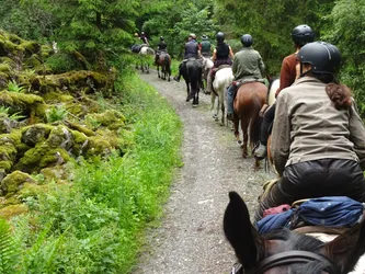 Die Gruppe reitet auf dem Schotterweg am moosbewachsenen Basaltblockmeer entlang