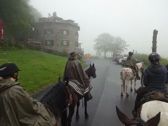 Die Gruppe reitet im dichten Nebel am Steinhaus des Fuldaer Hauses vorbei auf die Straße
