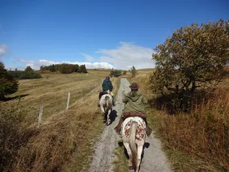 Zwei Reiter auf einem Schotterweg über die herbstliche Hochfläche der Rhön