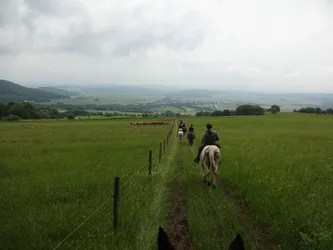 Die Gruppe reitet auf einem Grasweg zwischen Weidezäunen bergab, links eine Herde auf der Koppel