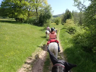 Die Gruppe reitet auf einem schmalen Wiesenweg, dahinter öffnet sich die Landschaft