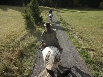 Blick über die Ohren des Pferdes auf zwei Reiter auf dem Feldweg zwischen Koppeln, rechts grasen Rinder