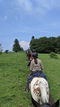 Die Gruppe reitet auf einem schmalen Pfad über die Hochfläche auf den Wald zu