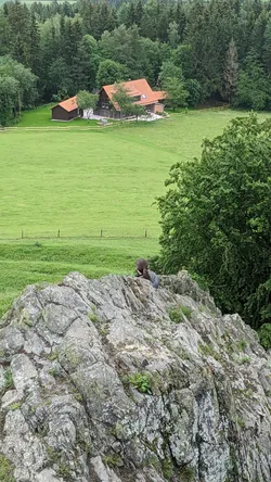 Blick vom Fels des Wachtküppels hinunter auf ein Anwesen mit rotem Dach am Waldrand