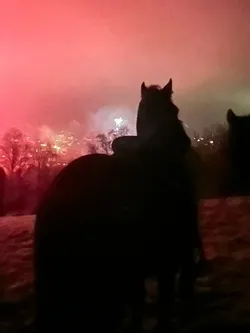Ein Pferd als Silhouette vor dem rot leuchtenden Nachthimmel, im Tal das Feuerwerk