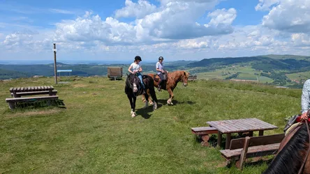 Zwei Reiterinnen reiten über das Gipfelplateau des Simmelsbergs an den Picknickbänken vorbei