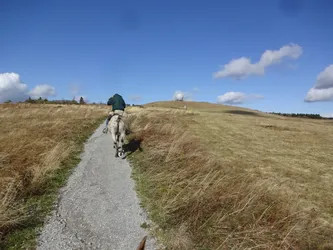 Ein Reiter auf einem Tigerschecken reitet den Schotterweg über die Hochfläche hinauf, am Horizont das Radom