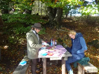 Zwei Frauen packen an einem Picknicktisch unter einer alten Buche das Essen aus, auf dem Tisch eine rot-weiß karierte Decke