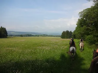 Zwei Reiter voraus auf dem Grasweg am Rand einer weiten Blumenwiese, dahinter die Rhönhöhen
