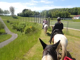 Blick über den Kopf des Pferdes auf den Weg am Zaun eines Sportplatzes entlang