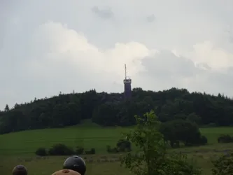 Der Aussichtsturm der Osterburg ragt über den bewaldeten Schlossberg, davor Wiesen