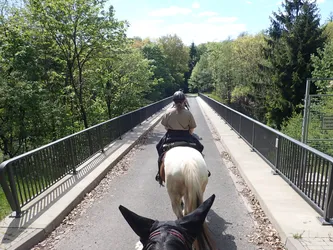 Blick über den Kopf des Pferdes auf die Brücke über die Autobahn, Geländer zu beiden Seiten