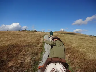 Wanderritt Rhön Herbst - Scha(r)fes Genusserlebnis