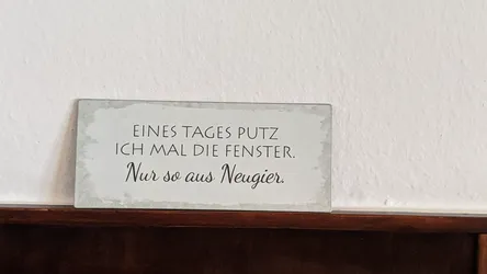 Blechschild mit dem Spruch „Eines Tages putz ich mal die Fenster. Nur so aus Neugier.“