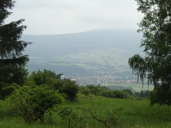 Blick durch eine Lücke zwischen Fichte und Birke auf einen Ort im Tal vor bewaldeten Höhen