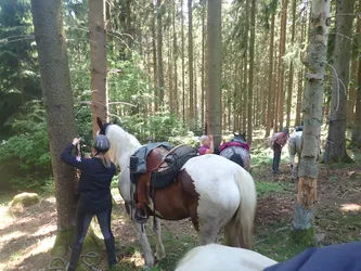 Rast im Wald: die Pferde sind zwischen den Stämmen angebunden, die Reiter versorgen sie
