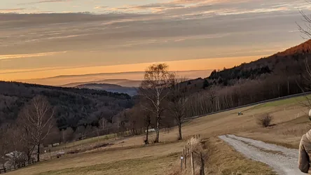 Sonnenuntergang über den Rhönhöhen, im Vordergrund ein Feldweg und kahle Birken