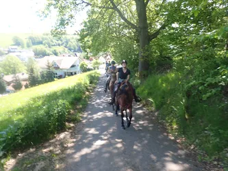 Die Gruppe reitet einen Hohlweg hinab, unten die Häuser des Ortes
