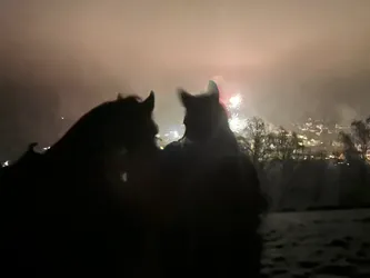 Silvesterritt – Mitternacht am Berg in der Rhön