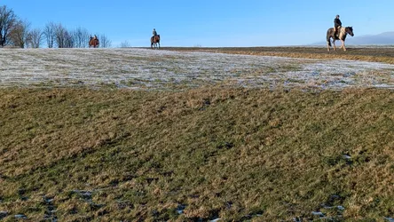 Drei Reiter am Horizont auf der Kuppe einer raureifbedeckten Wiese