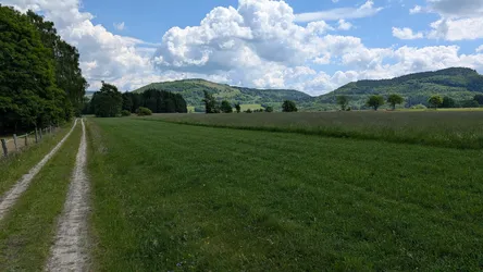 Grasweg am Waldrand entlang einer Mähwiese, dahinter die bewaldeten Kuppen der Rhön