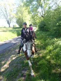 Eine Reiterin auf einem Schimmel auf dem Weg zwischen Böschung und Wiese