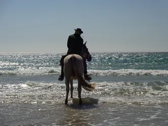 Wanderritt am Meer – Reiter und Pferd im Wasser