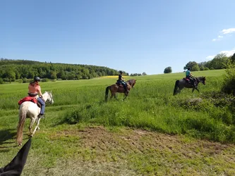 Zwei Reiter auf einem Wiesenstreifen zwischen Feldern, im Hintergrund der Waldrand