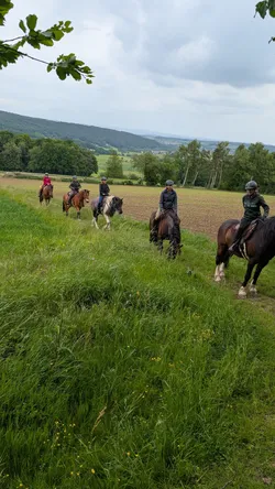 Sechs Reiter auf einem Grasweg am Ackerrand, dahinter fällt der Blick über bewaldete Höhen ins Tal