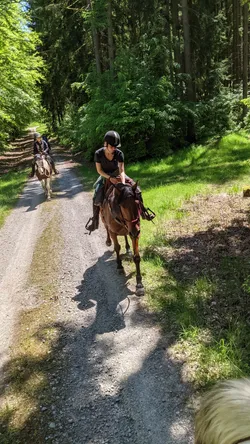 Zwei Reiterinnen auf einem schattigen Forstweg