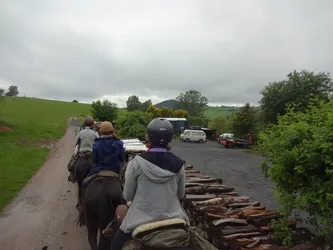Die Gruppe reitet an einem Holzstapel entlang auf einen Hof mit Bulli und Anhänger zu