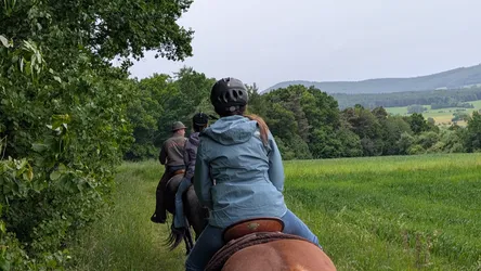 Blick über die Schulter einer Reiterin auf zwei Vorausreitende am Wiesenrand, rechts öffnet sich die Rhönlandschaft