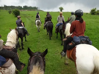 Die Gruppe reitet in langer Reihe einen Grasweg über die Weide hinauf