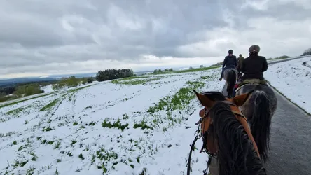 Sternritte im Winter – winterliche Rhön zu Pferd