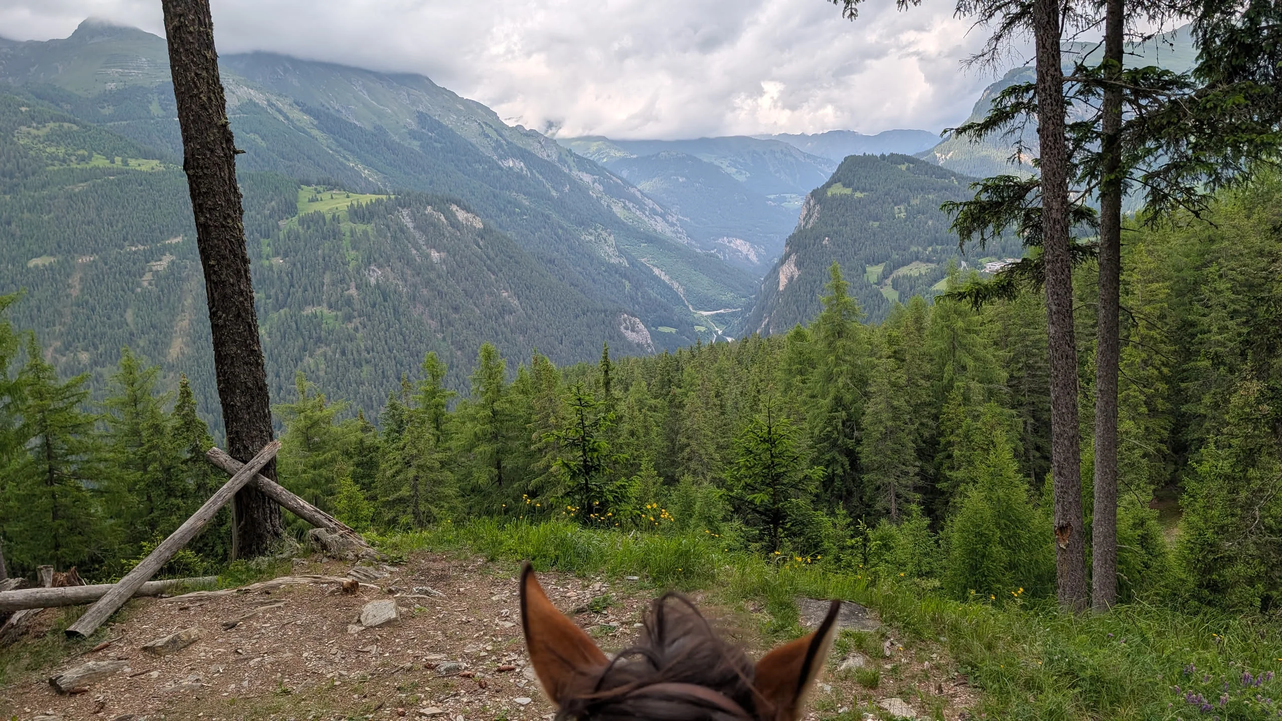 3-Länderritt Engadin – Fazit: 180 km durch drei Länder