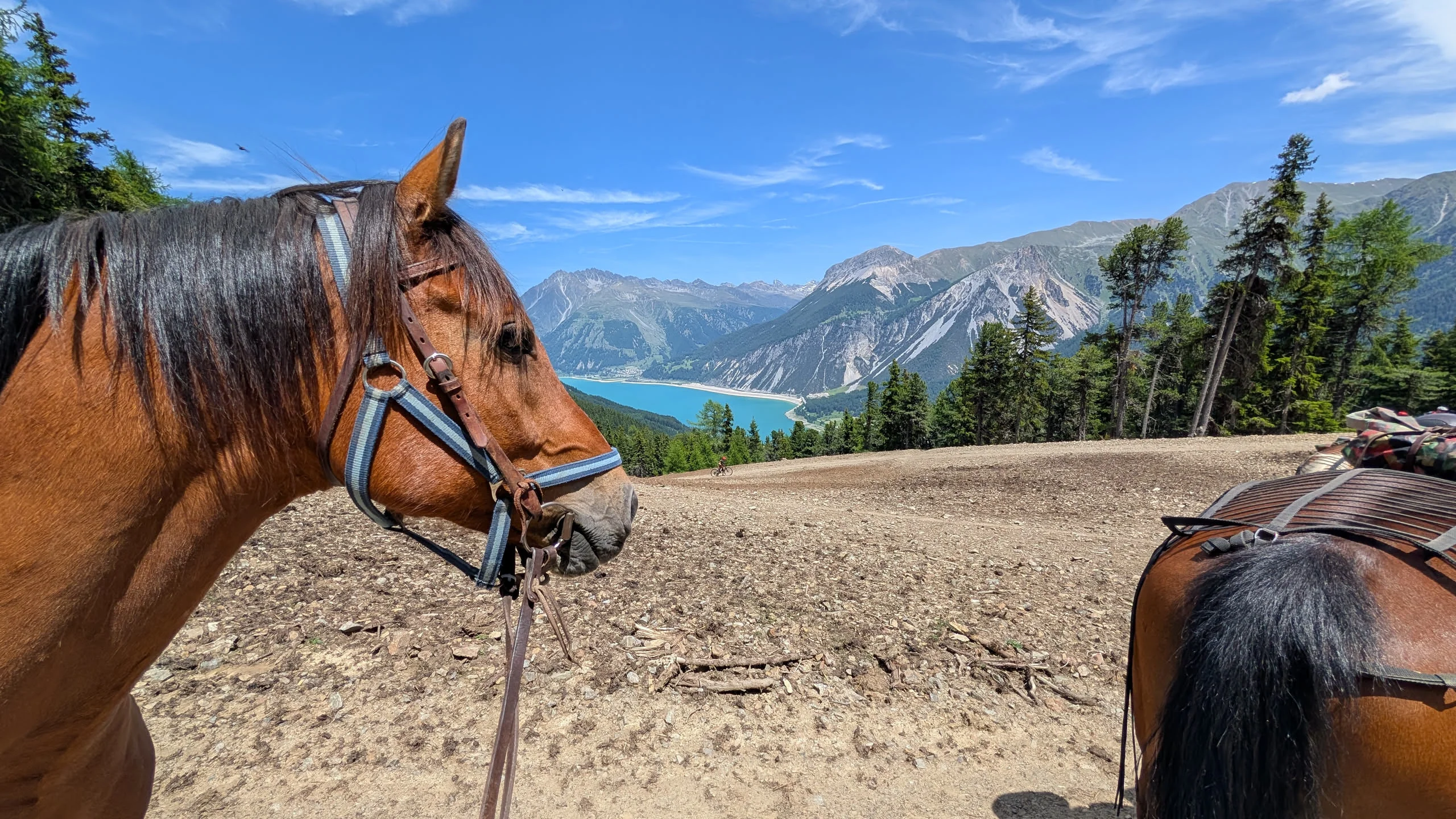 3-Länderritt Engadin – Tag 3: Vom Reschensee über die Bruggeralm nach Mals