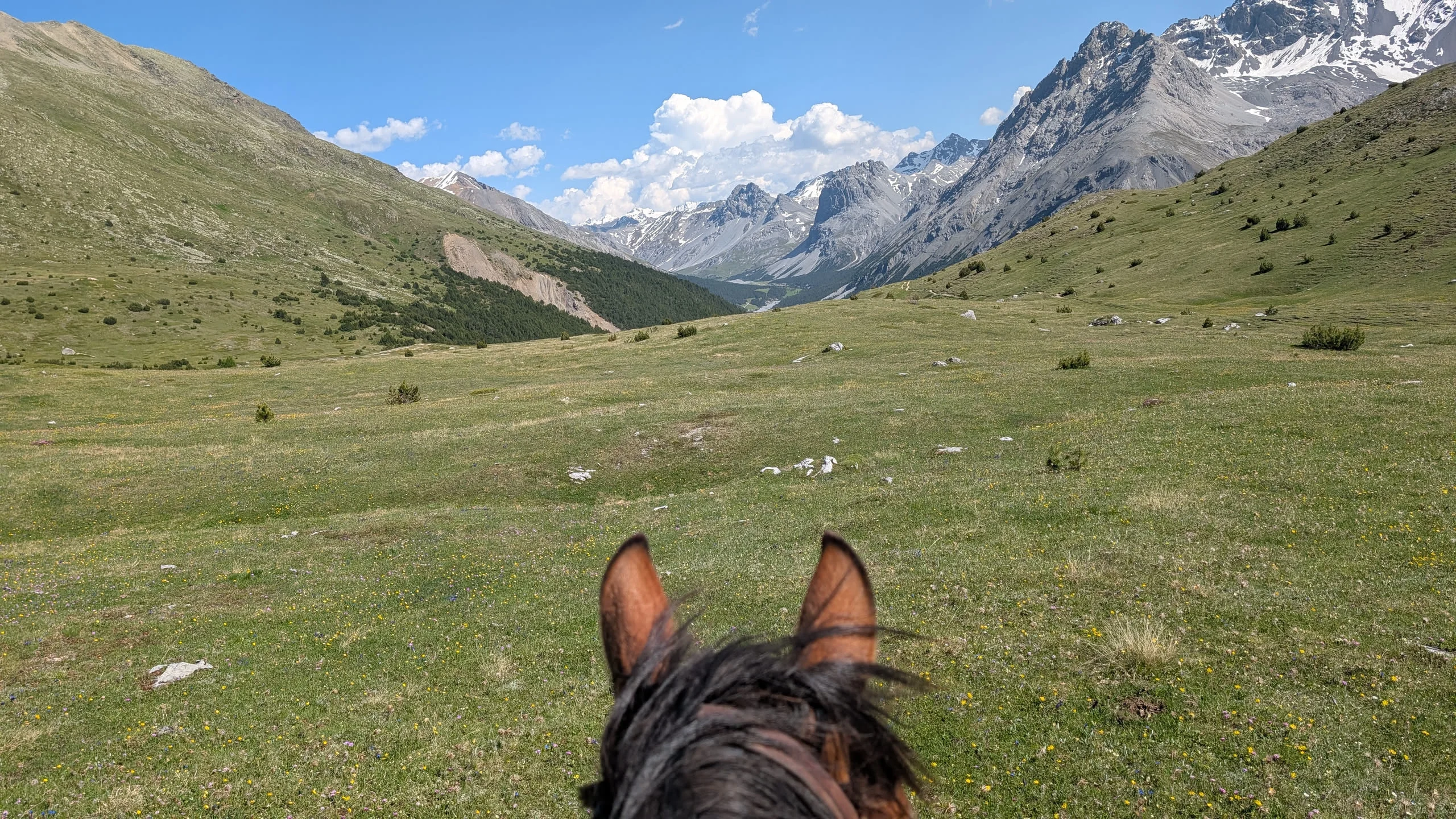 3-Länderritt Engadin – Tag 5: Durch das Val Mora zum Ofenpass